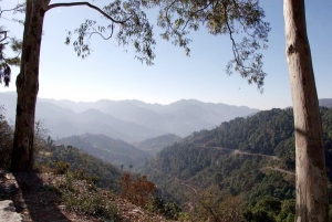 Romantic Kasauli