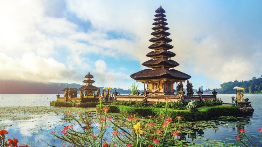 LTC Package for Bali